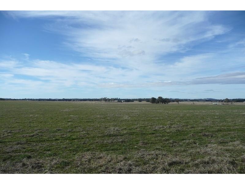 Orange NSW 2800