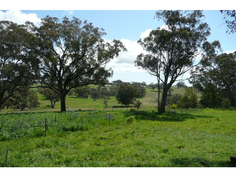 Orange NSW 2800