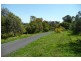 Orange NSW 2800