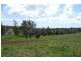 Orange NSW 2800