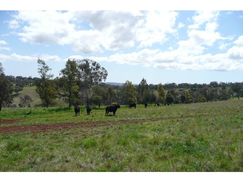 Orange NSW 2800