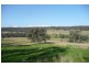 Molong NSW 2866