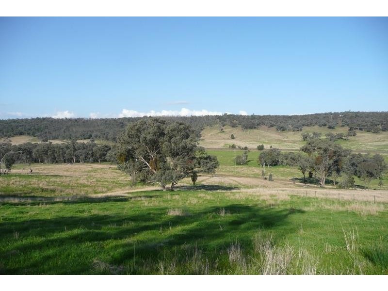 Molong NSW 2866