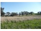 Molong NSW 2866