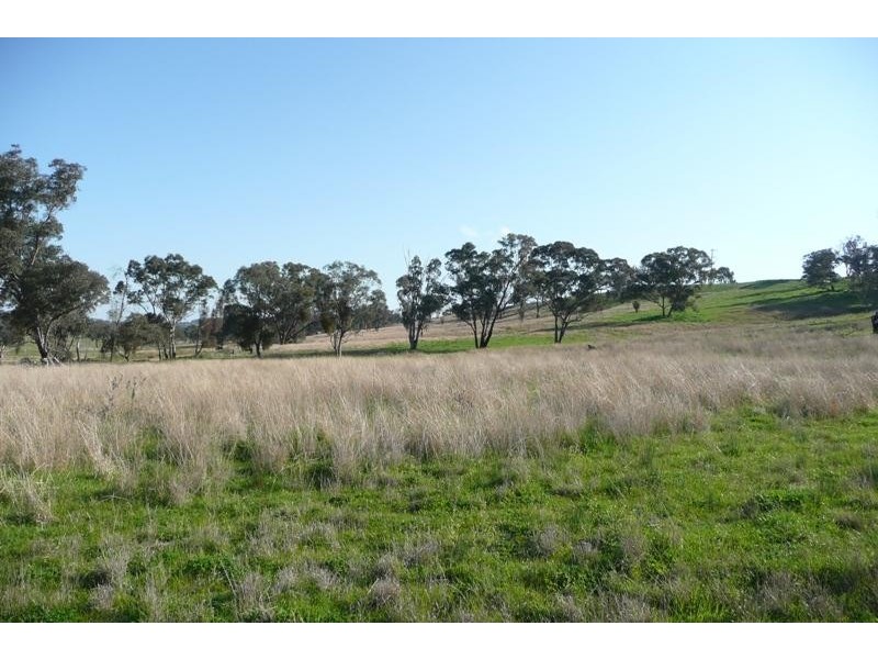 Molong NSW 2866