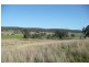 Molong NSW 2866