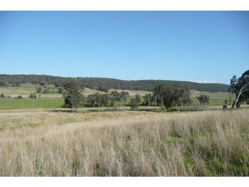 Molong NSW 2866