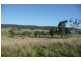 Molong NSW 2866