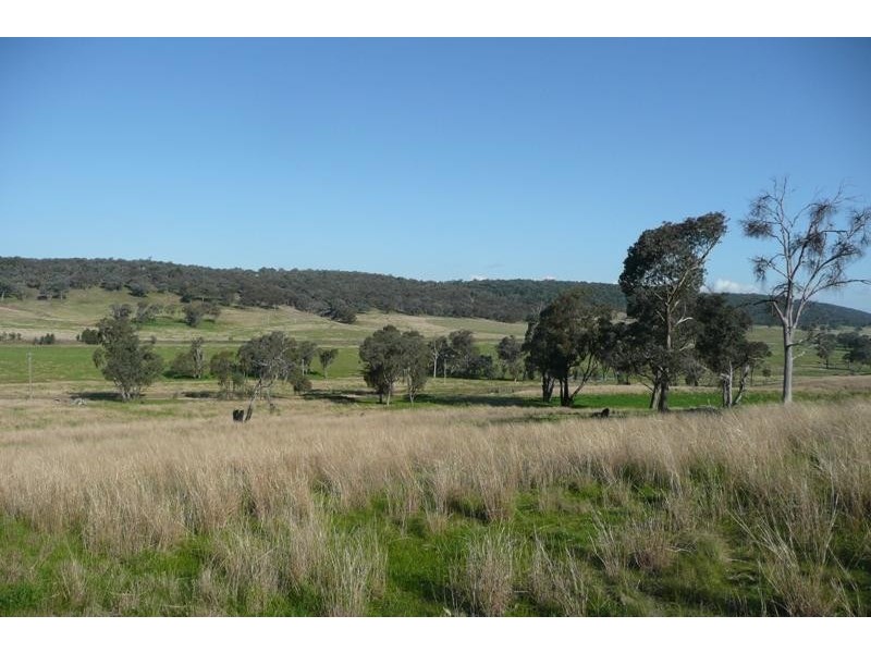 Molong NSW 2866