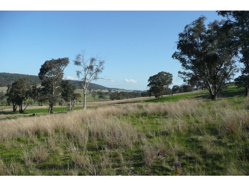 Molong NSW 2866