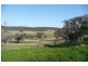 Molong NSW 2866