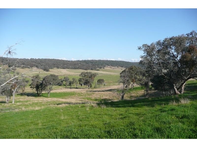 Molong NSW 2866