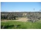 Molong NSW 2866