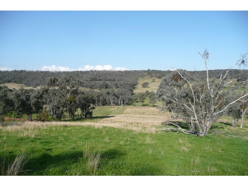 Molong NSW 2866