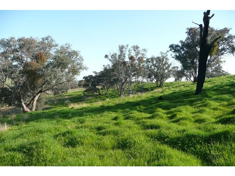 Molong NSW 2866