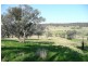 Molong NSW 2866
