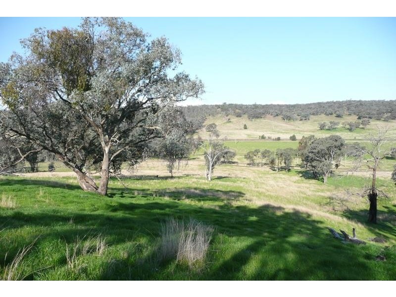 Molong NSW 2866