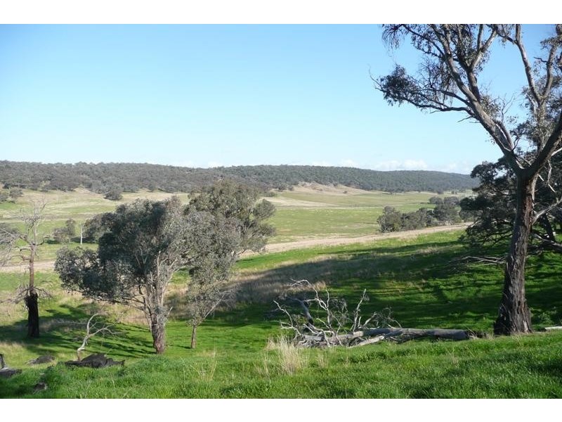 Molong NSW 2866