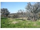 Molong NSW 2866