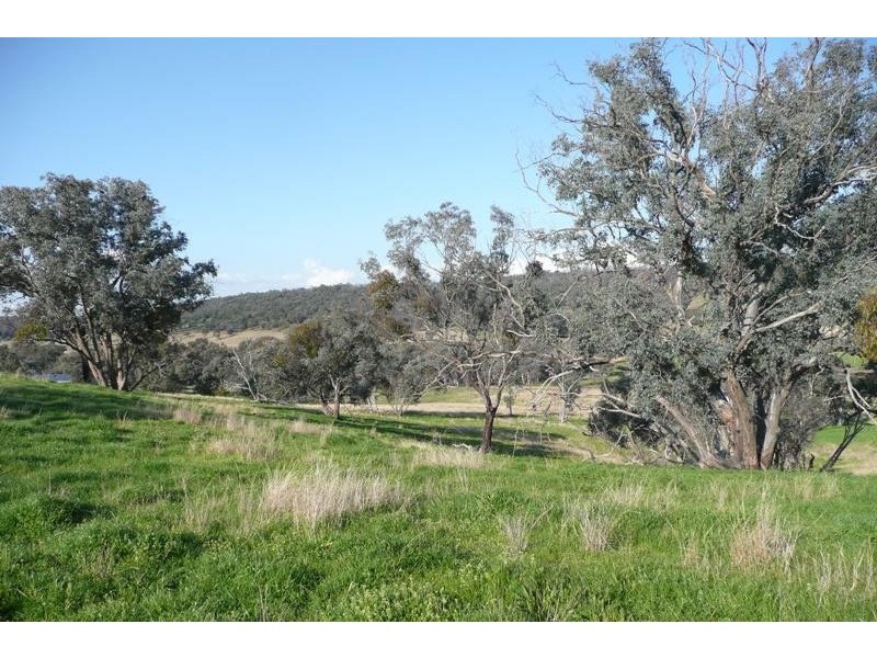 Molong NSW 2866