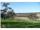 Molong NSW 2866
