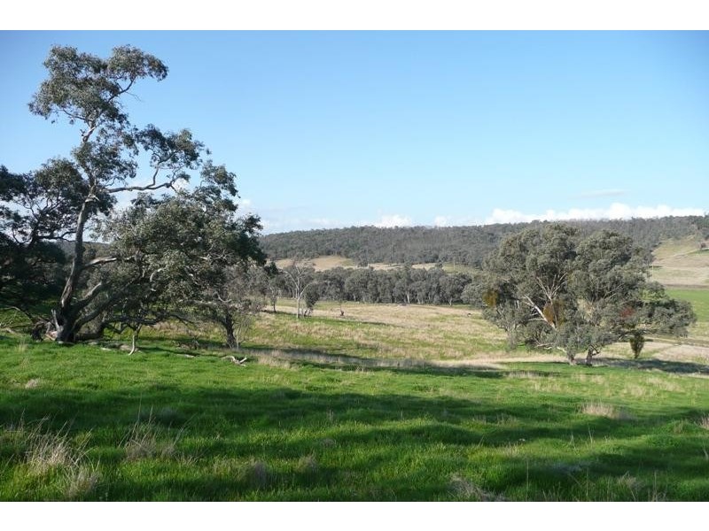 Molong NSW 2866
