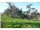 Molong NSW 2866