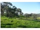 Molong NSW 2866