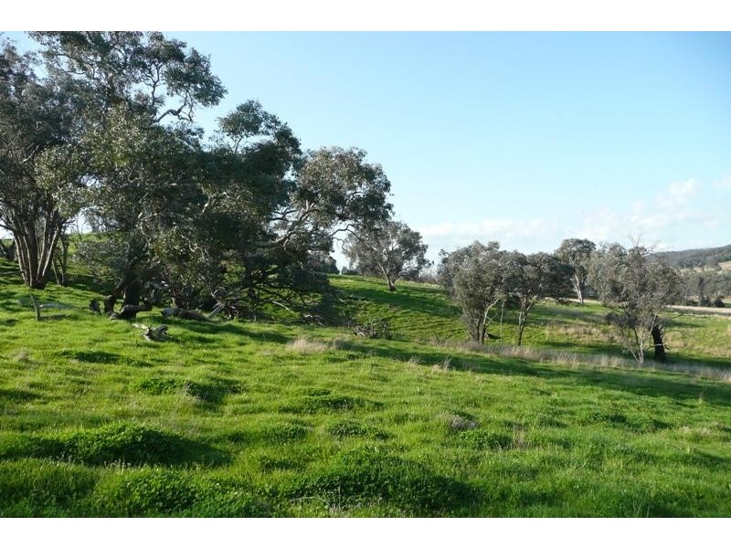 Molong NSW 2866
