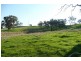 Molong NSW 2866