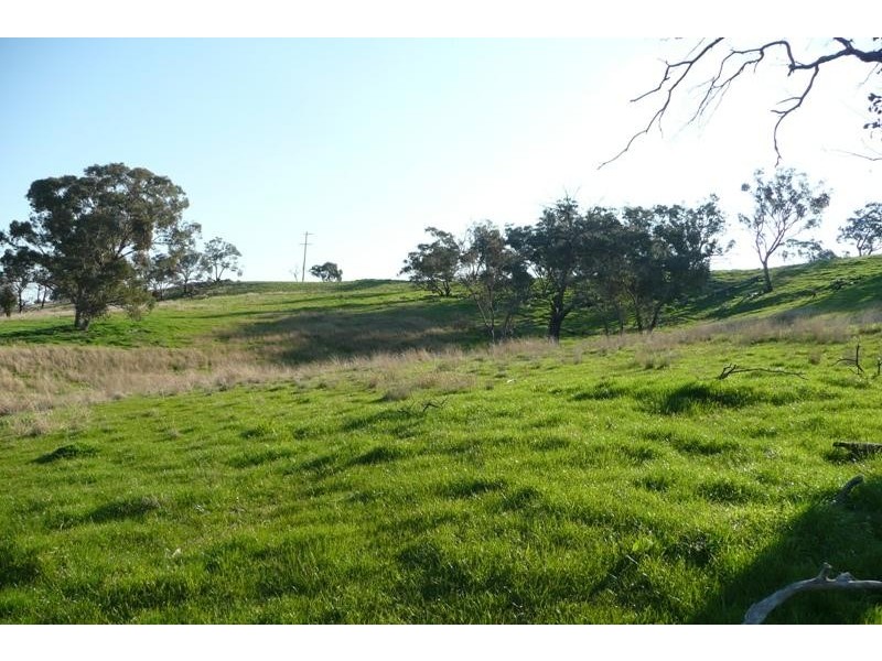 Molong NSW 2866