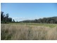 Molong NSW 2866