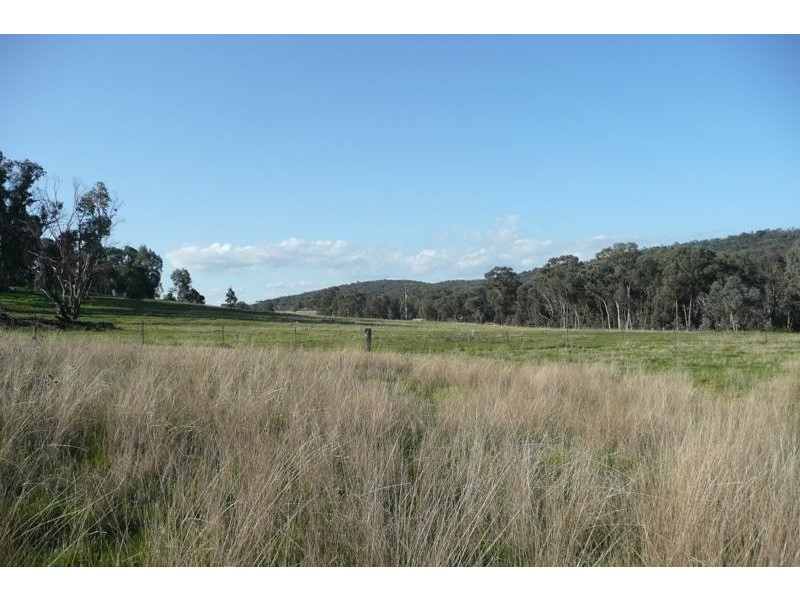 Molong NSW 2866