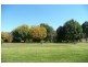 Millthorpe NSW 2798