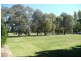 Millthorpe NSW 2798