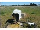 Millthorpe NSW 2798