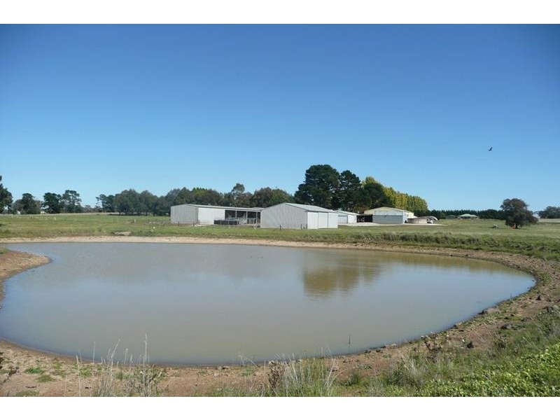 Millthorpe NSW 2798