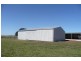 Millthorpe NSW 2798