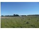 Millthorpe NSW 2798