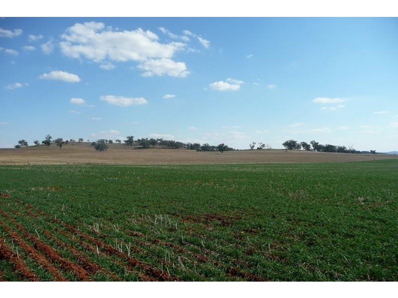 Manildra NSW 2865
