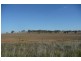Manildra NSW 2865