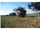 Manildra NSW 2865