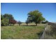 Millthorpe NSW 2798