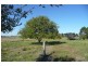 Millthorpe NSW 2798