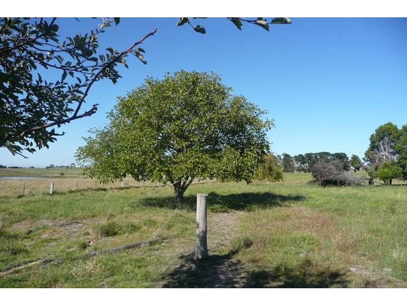 Millthorpe NSW 2798