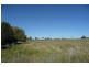 Millthorpe NSW 2798