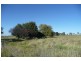 Millthorpe NSW 2798