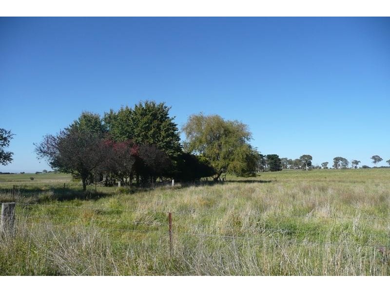 Millthorpe NSW 2798