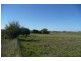 Millthorpe NSW 2798