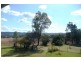 Orange NSW 2800